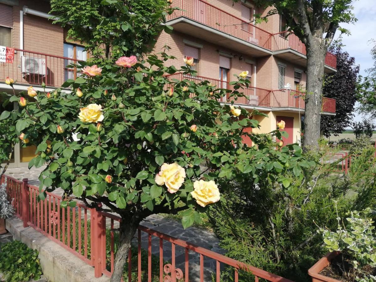Gold B&B Ravarino エクステリア 写真
